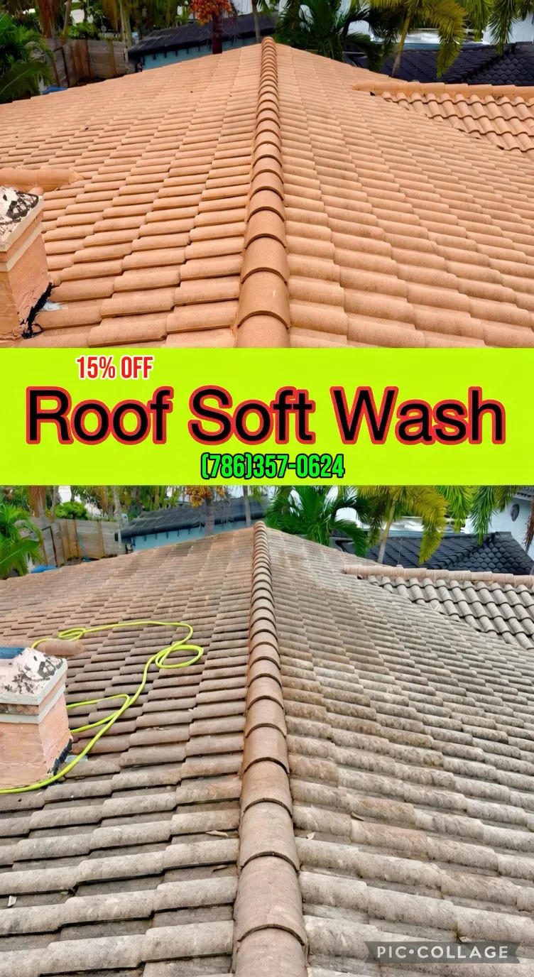 Roof soft wash — algae and black streak removal before and after